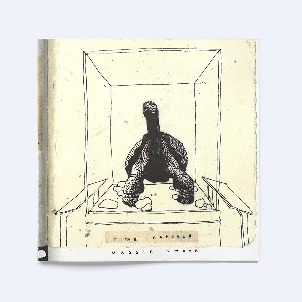 a tortoise in a display case on the cover, text reads: Time Capsule Maggie Umber