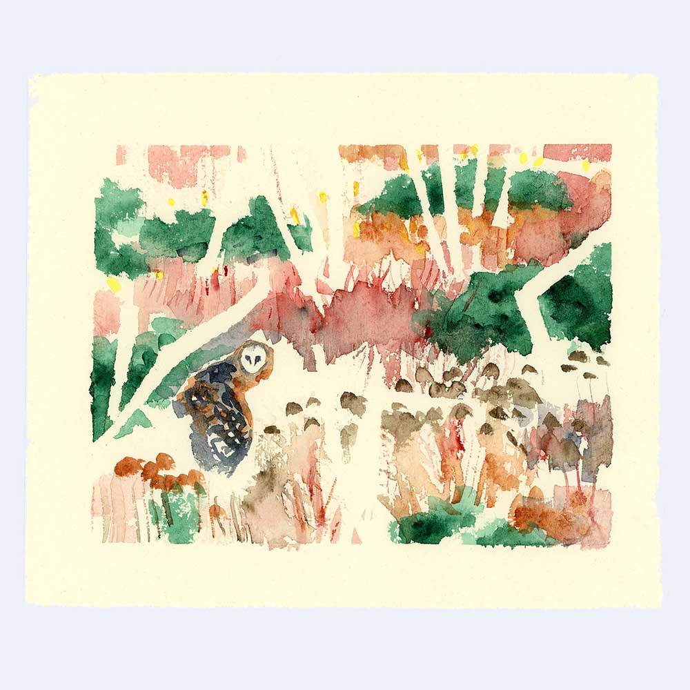 barn owl flying past birch trees
