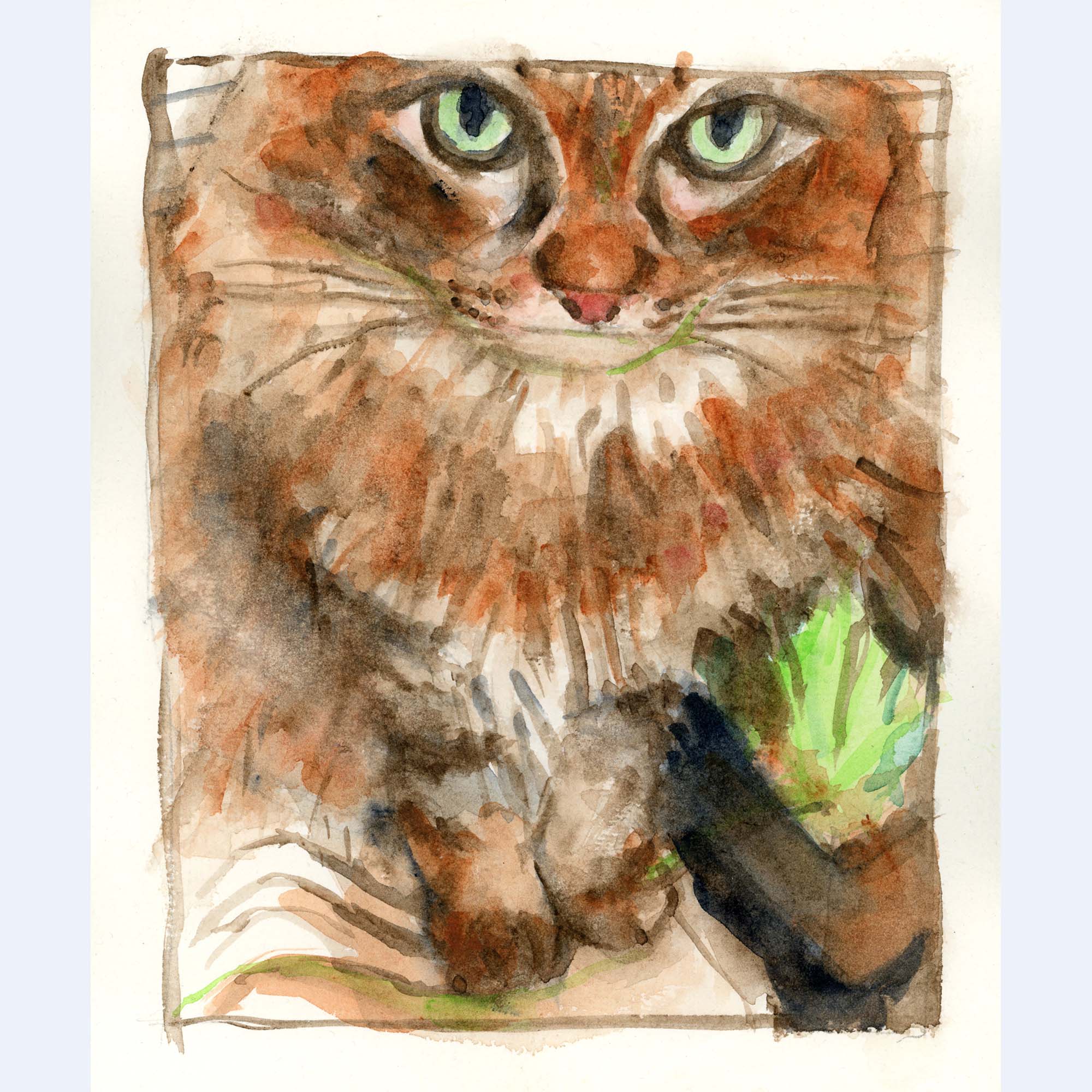 brown fluffy cat looking up at viewer, sitting next to a potted plant