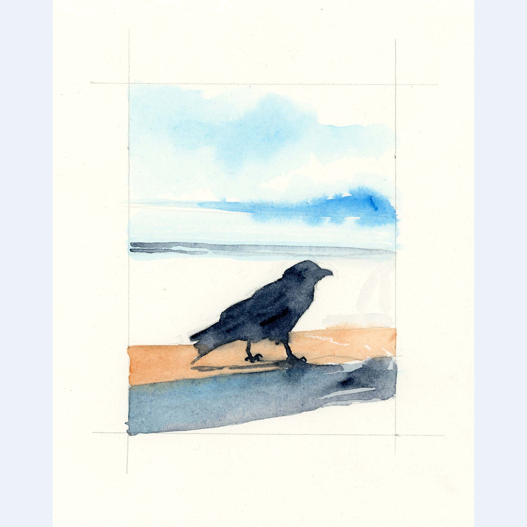 a crow standing on the beach with a cloud behind them