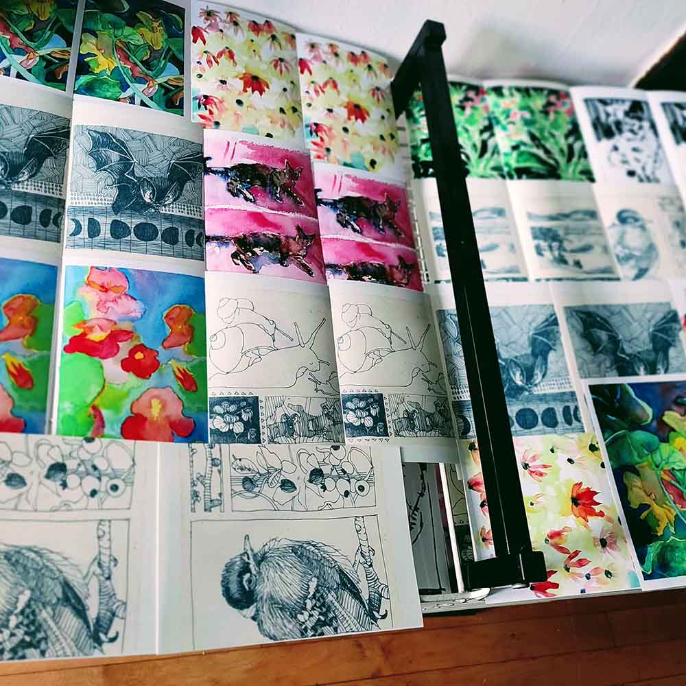 watercolor and pen drawing prints on a print rack by Maggie Umber