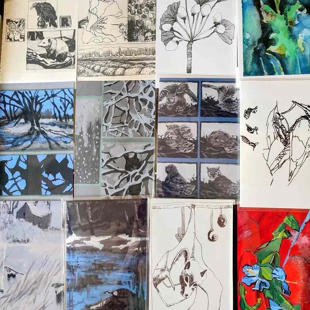 12 prints of owls, birds, plants by Maggie Umber for The Urban Birding Festival