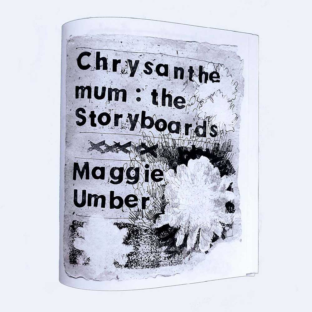 chrysanthemum flowers, text reads: Chrysanthemum: the Storyboards, Maggie Umber