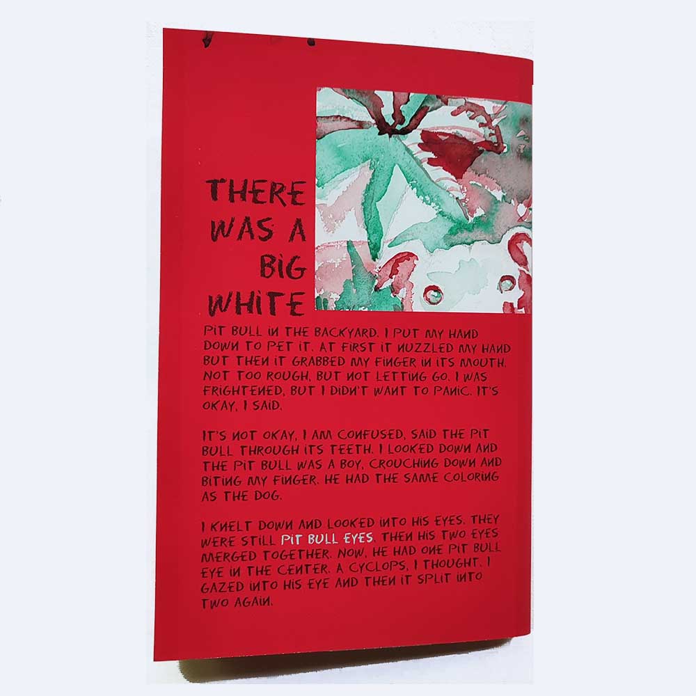 copyright Maggie Umber red back cover includes summary of book with caster bean